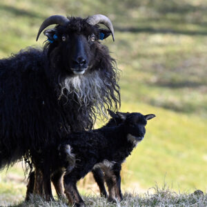 Samantha med to små